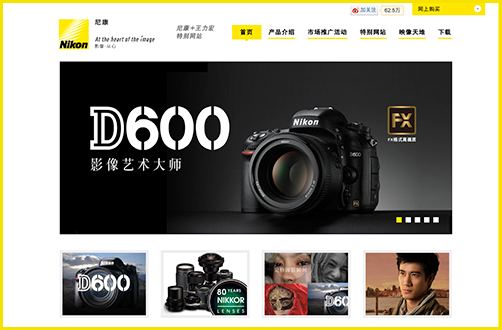Nicon D600 Branding Site