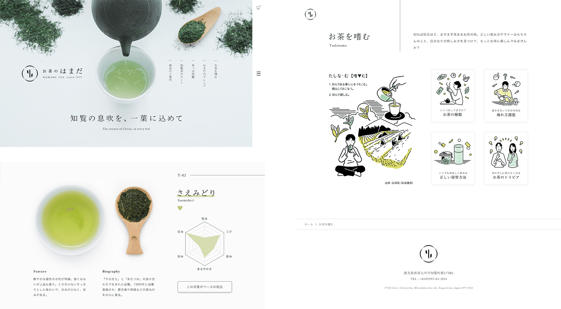 お茶のはまだ / Branding & Website